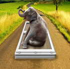 creative concept image of elephant sitting on uPVC window frame demonstrating its strong load bearing capacity